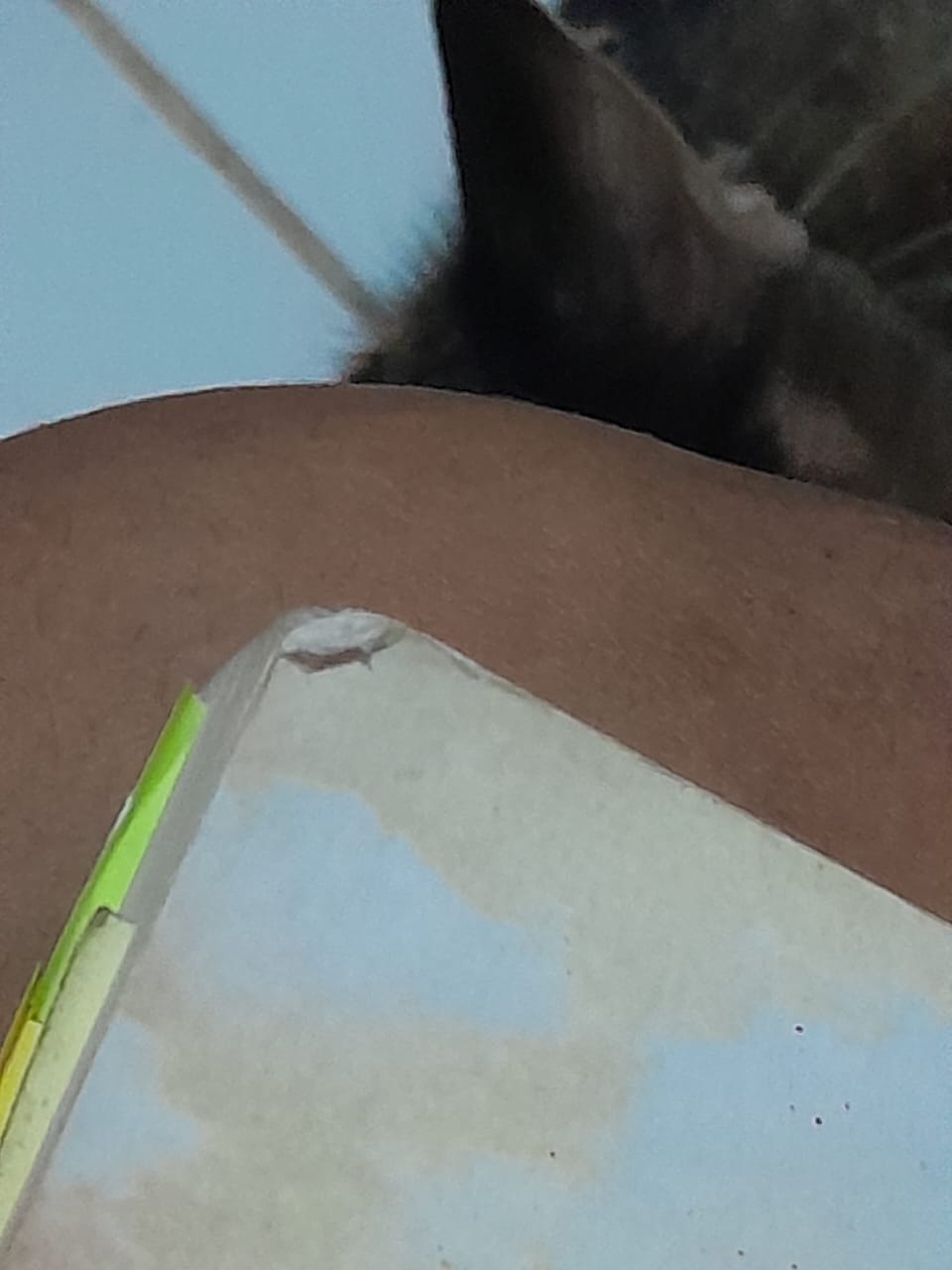 Small Image 5