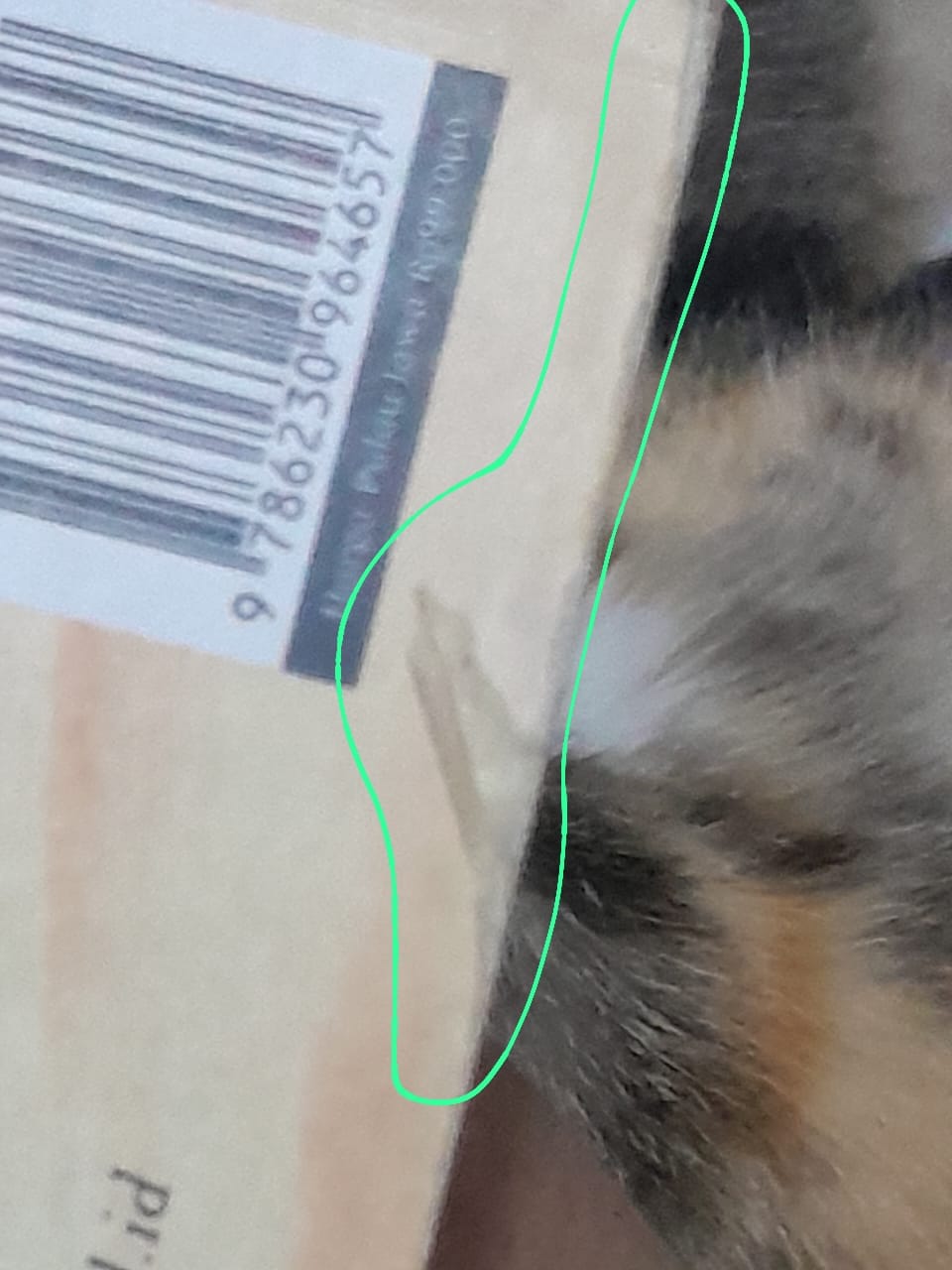 Small Image 6