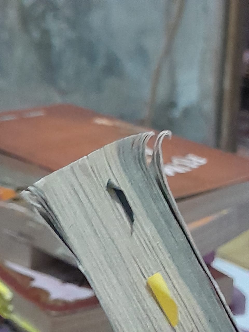 Small Image 7