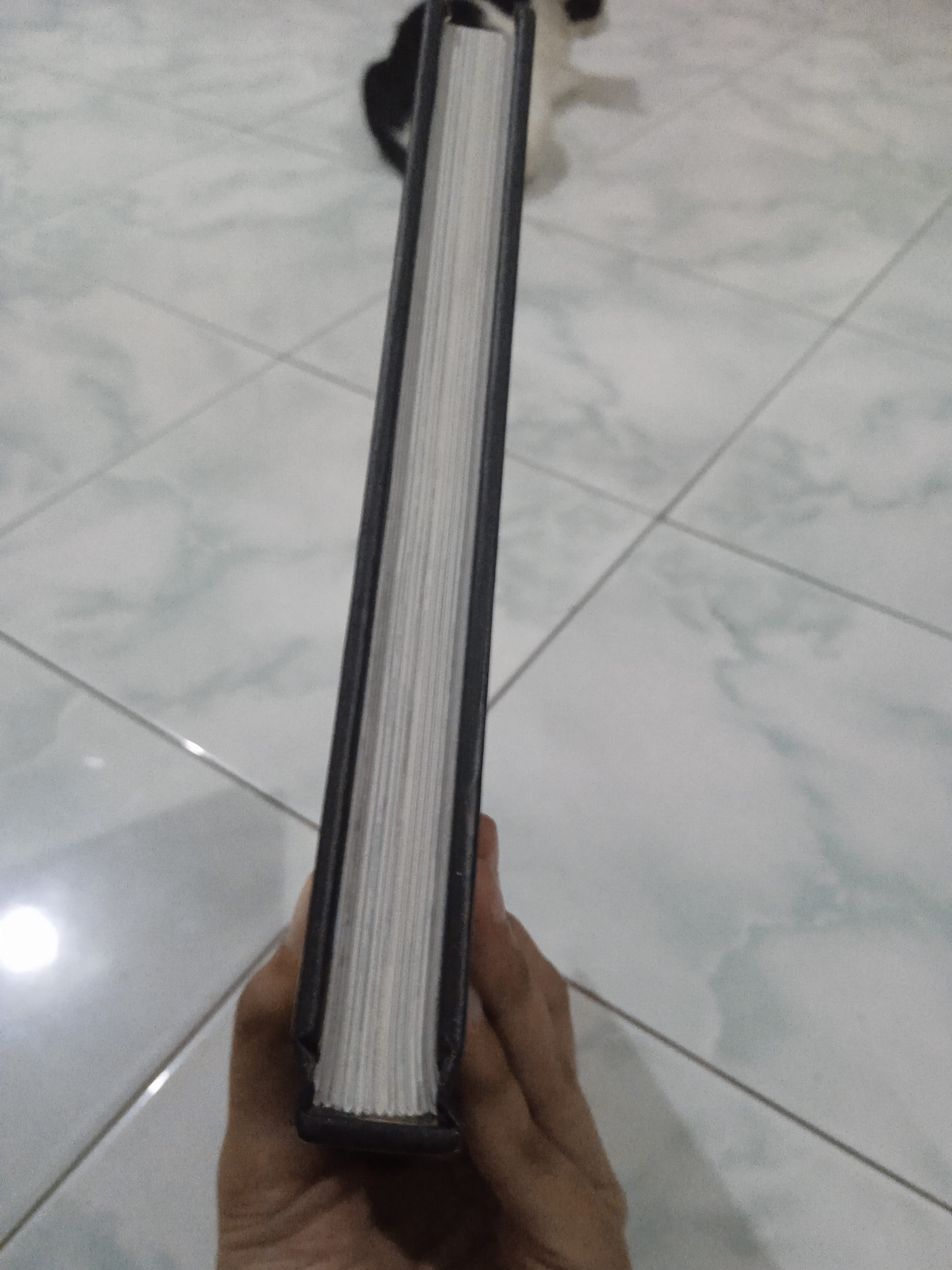 Small Image 6